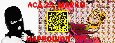 дживик Кингисепп