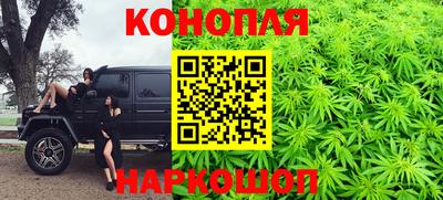 дживик Кингисепп