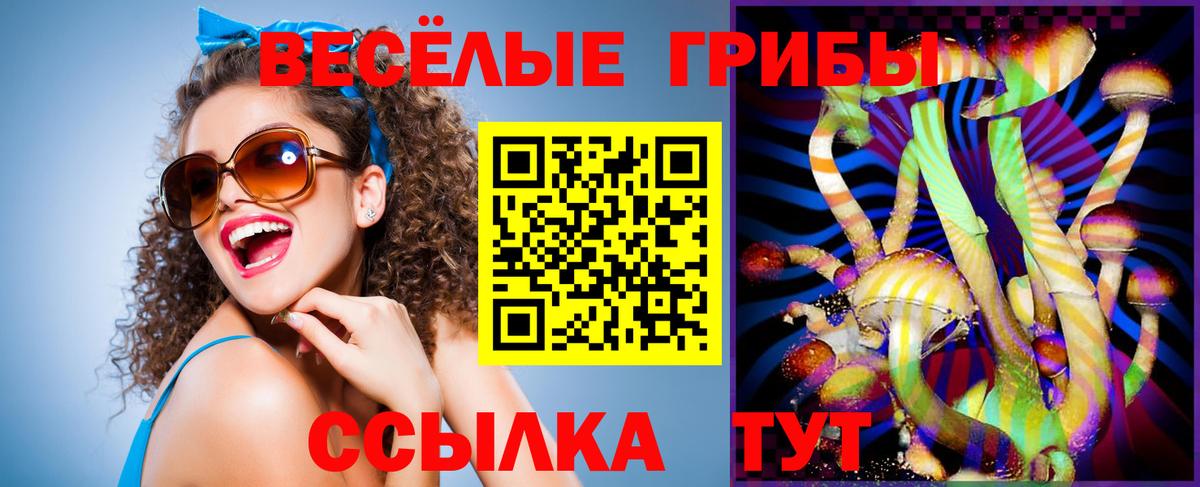 Галлюциногенные грибы Magic Shrooms Ишим